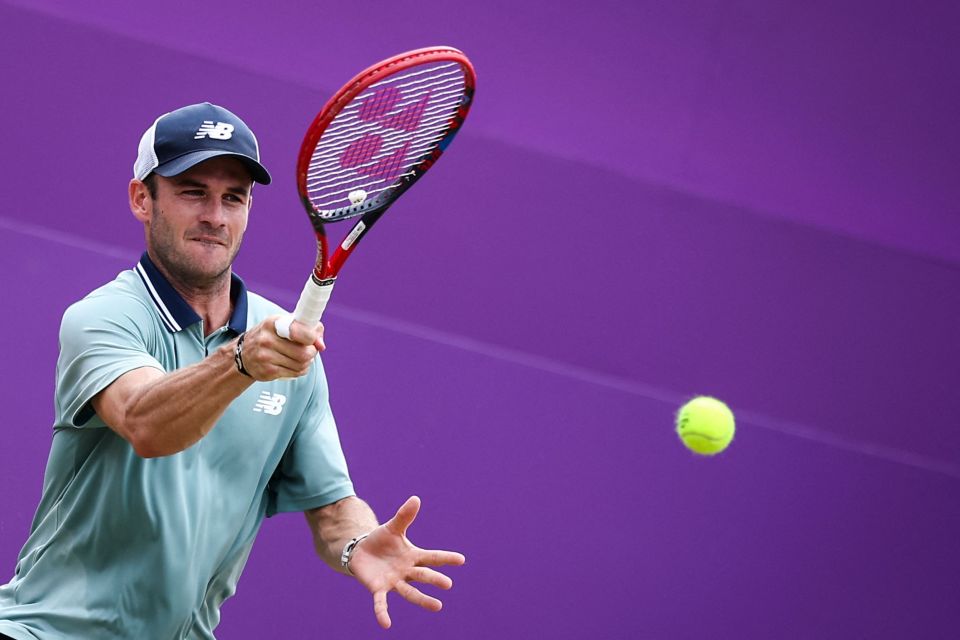 阿莱格里的 阿莱格里的