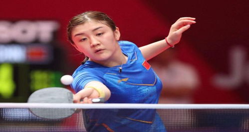 体育新闻报 体育新闻报