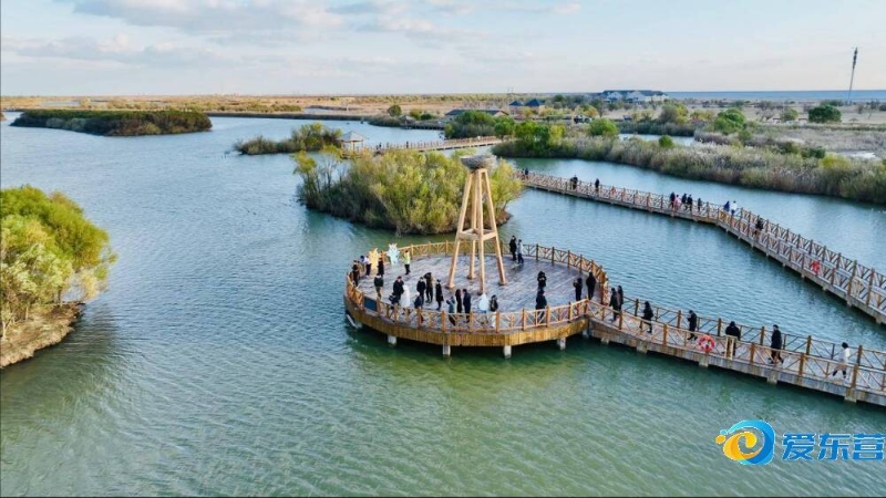 化的比赛中 化的比赛中